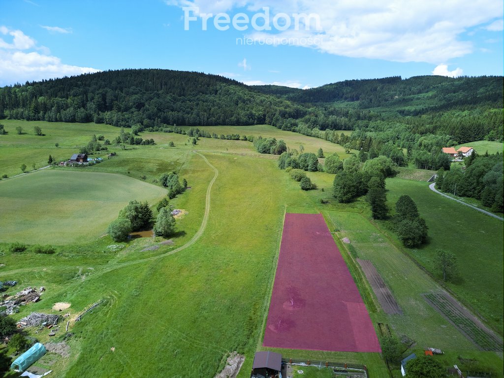 Działka budowlana na sprzedaż Kamienna Góra  2 494m2 Foto 6