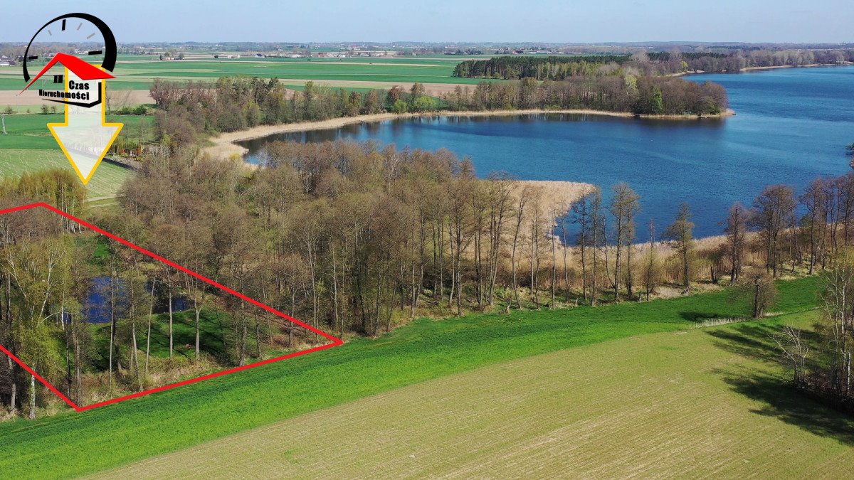 Działka budowlana na sprzedaż Wiewiórczyn  5 400m2 Foto 3