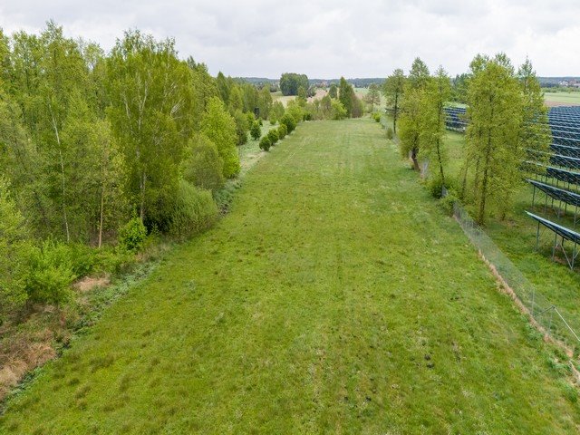 Działka rolna 15 391 m² z możliwością rozwoju gospodarstwa - polecam! Kuny  15 391m2 Foto 1