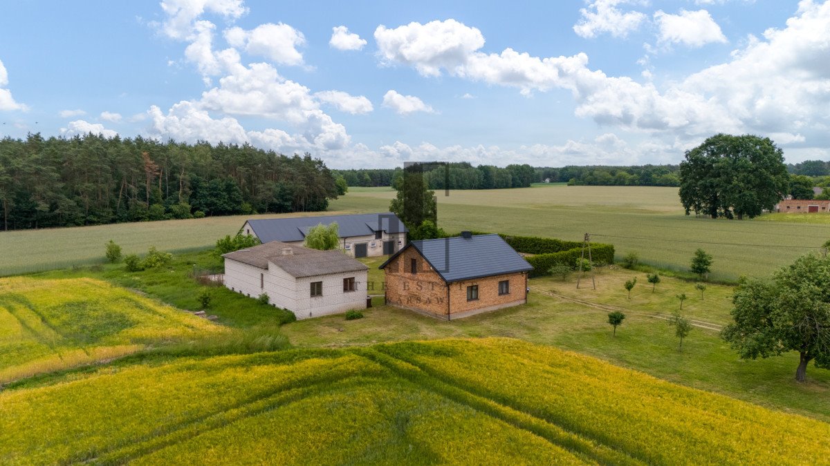 Działka siedliskowa na sprzedaż Płońsk  7 300m2 Foto 2