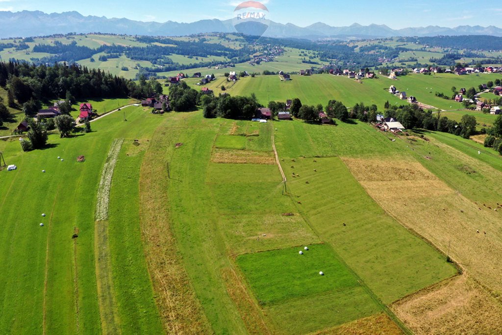 Działka rolna na sprzedaż Maruszyna  9 650m2 Foto 20