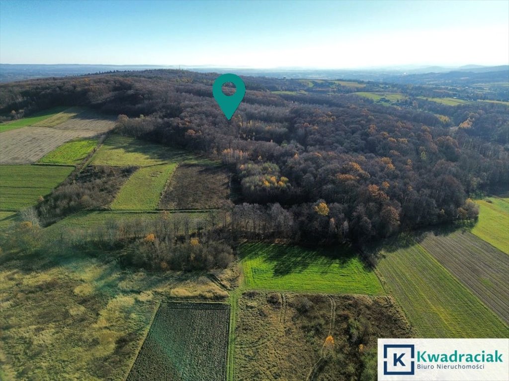 Działka 61 arów z widokiem, lasem i potencjałem rekreacyjnym Podniebyle  6 100m2 Foto 1