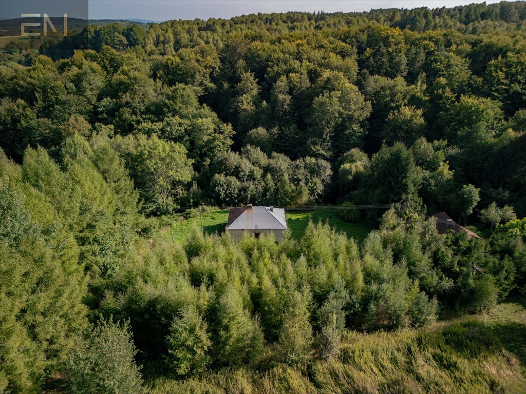 Dom na sprzedaż Niewodna  100m2 Foto 4