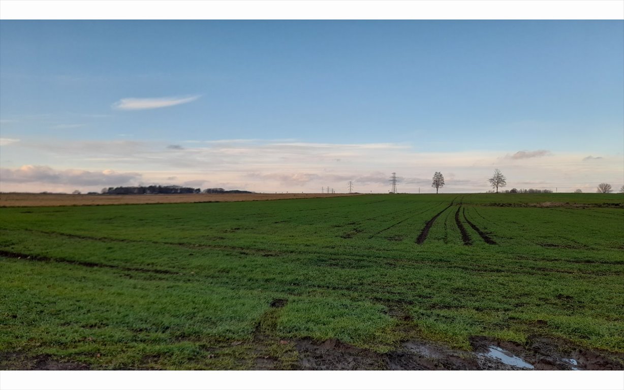 Działka budowlana na sprzedaż Krzeczyn Wielki, Krzeczyn Wielki  26 673m2 Foto 1