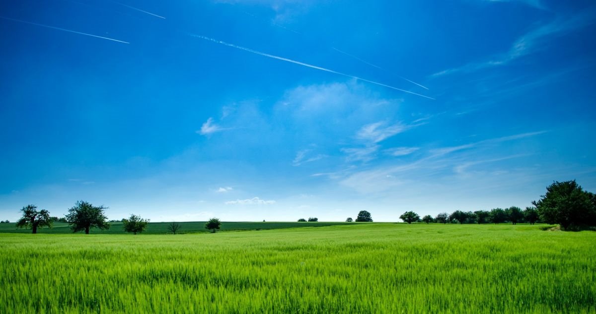 Działka siedliskowa na sprzedaż Juraszki  2 400m2 Foto 2