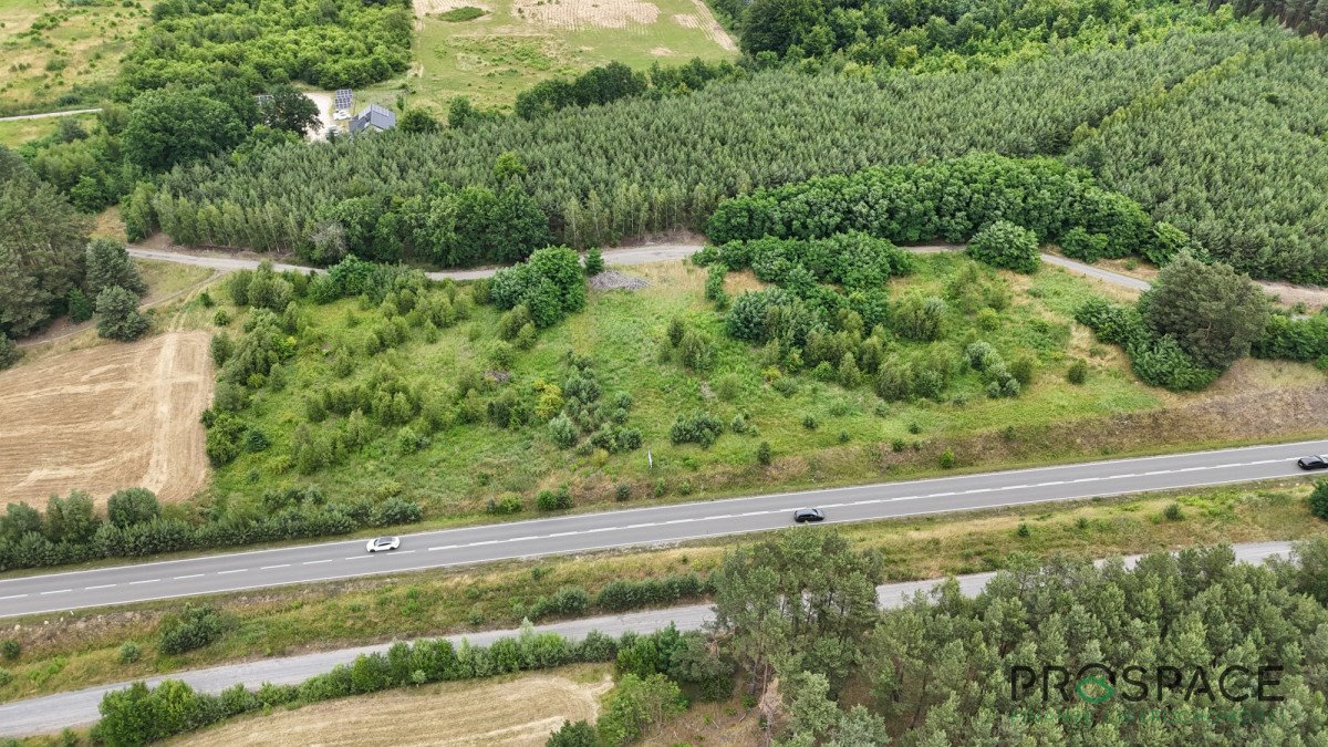 Działka inwestycyjna 99 ar przy obwodnicy Zielonej Góry Zielona Góra, Stary Kisielin  9 900m2 Foto 1