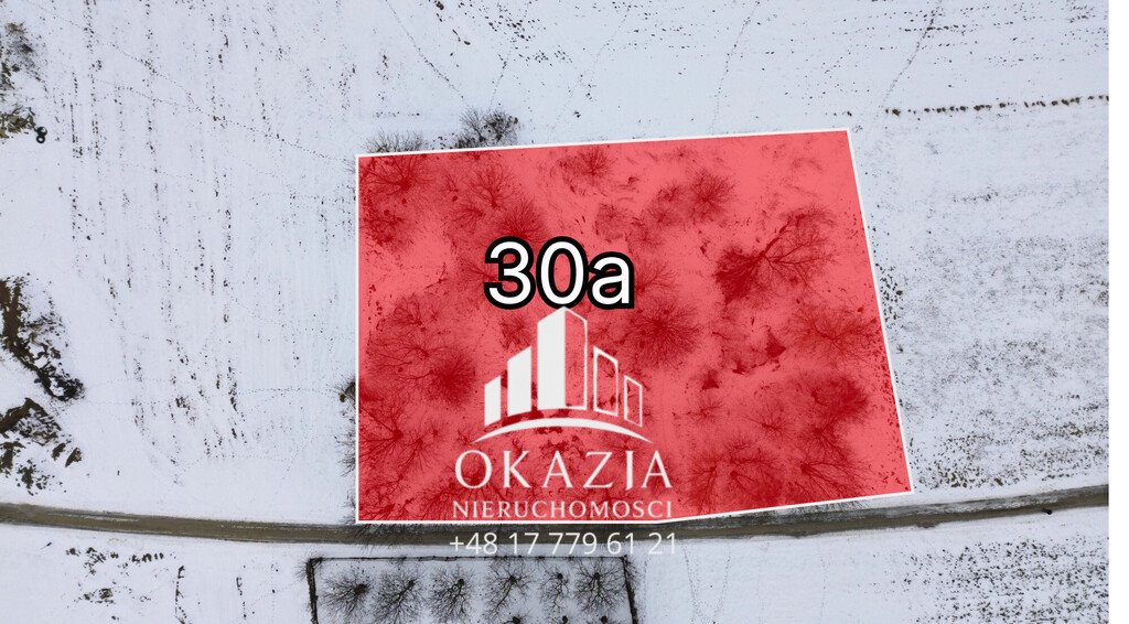 Działka 3000 m² pod dom w Zarzeczu, spokojna okolica Zarzecze  3 000m2 Foto 1