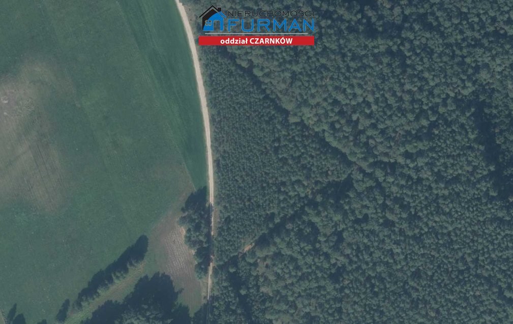 Działka leśna na sprzedaż Gajewo  8 900m2 Foto 1