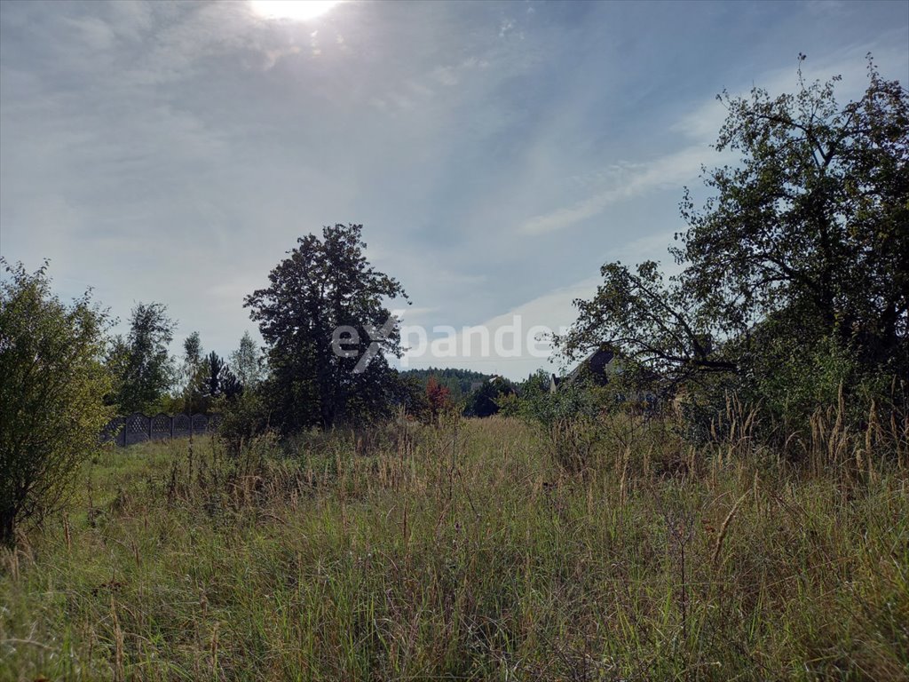 Działka budowlana na sprzedaż Wierzchowisko, Kasztanowa  1 230m2 Foto 2