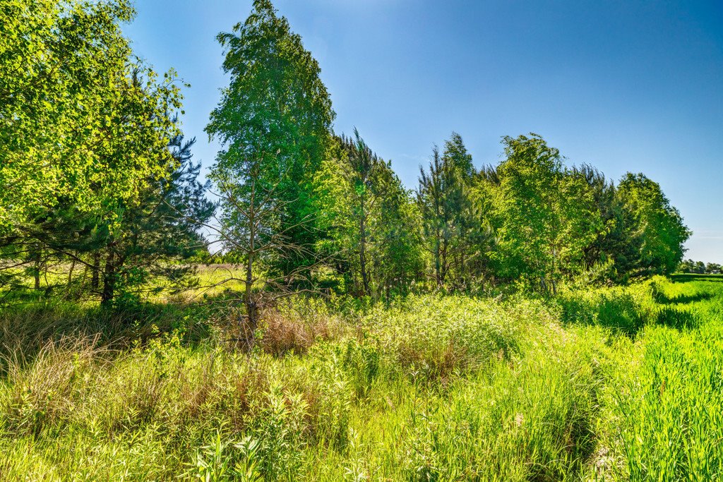 Działka budowlana na sprzedaż Majdan  3 000m2 Foto 17