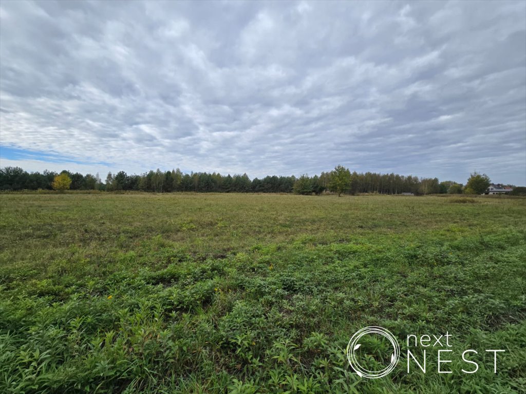 Działka budowlana na sprzedaż Jaroszowa Wola, Leśna  2 200m2 Foto 4