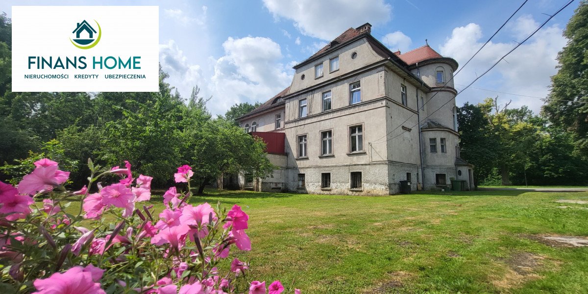 Urokliwy lokal w willi z XIX wieku z dużym potencjałem Kopice  365m2 Foto 1