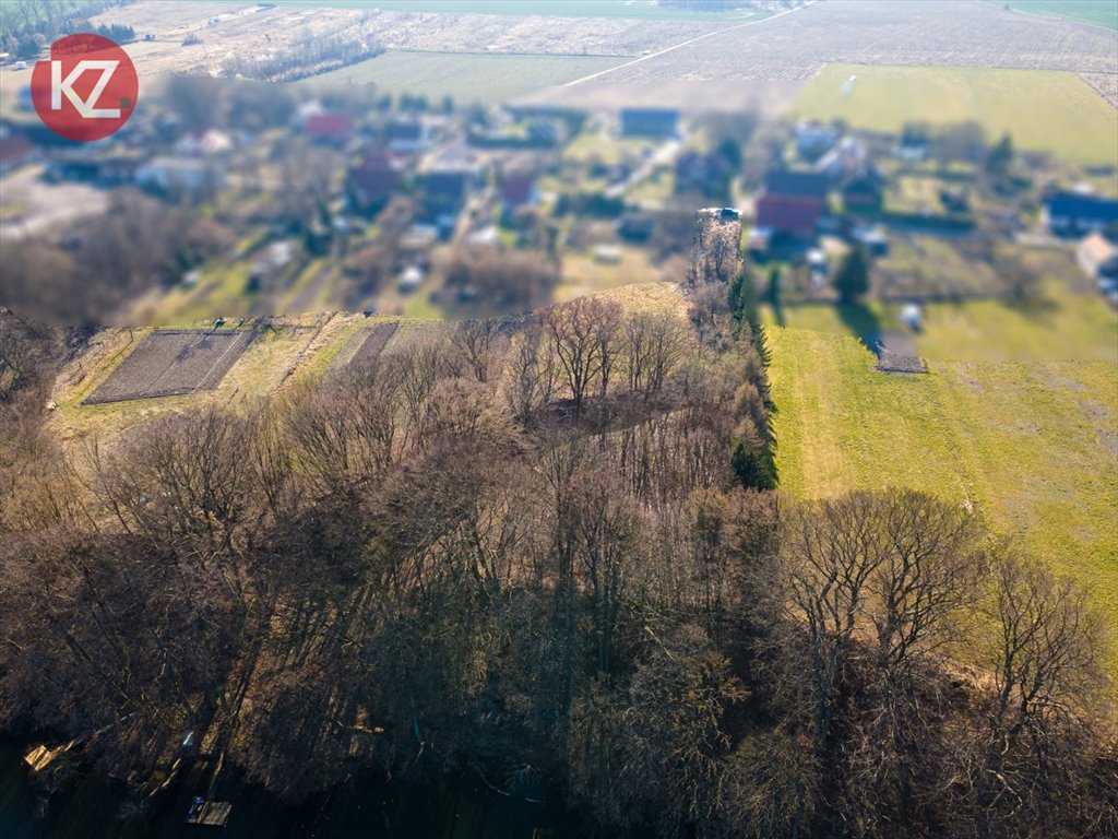 Zdjęcie 7