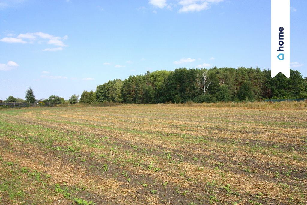 Działka budowlana na sprzedaż Niemcz, niemcz  1 100m2 Foto 8