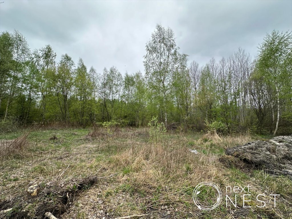 Działka budowlana na sprzedaż Czarnów, Wakacyjna  1 941m2 Foto 8