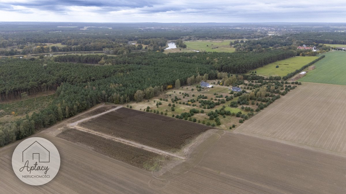 Działka budowlana na sprzedaż Biernatki, Władysława Dylewskiego  933m2 Foto 1