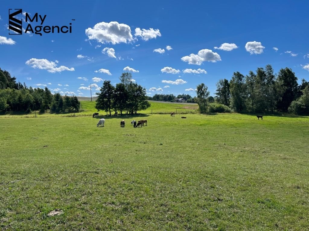 Działka budowlana na sprzedaż Łebno, Kartuska  1 003m2 Foto 7