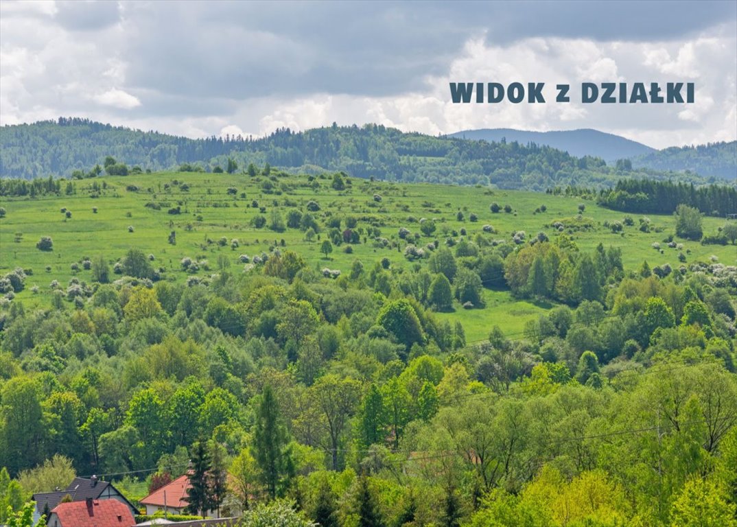 Działka budowlana na sprzedaż Żywiec, Okrężna  3 164m2 Foto 6