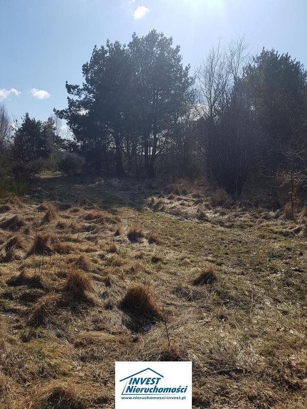 Działka inna na sprzedaż Nowęcin, Jezioro, Las, Tereny rekreacyjne 1 720m2 Foto 1 Działka inna na sprzedaż Nowęcin, Jezioro, Las, Tereny rekreacyjne 1 720m2 Foto 1