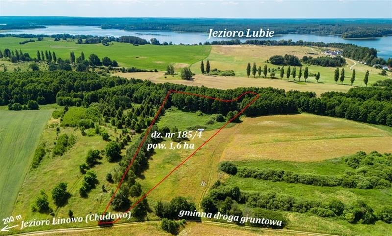Działka 1,6 ha z możliwością zabudowy nad jeziorami Gudowo  15 600m2 Foto 1