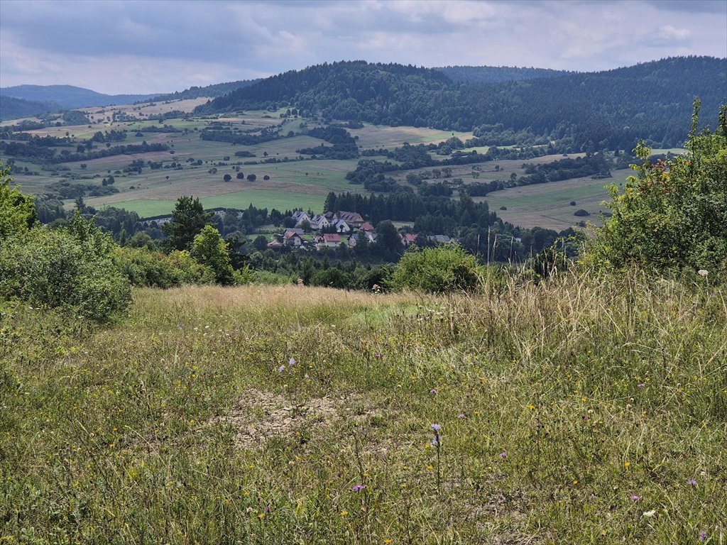 Działka rolna na sprzedaż Posada Jaśliska  9 300m2 Foto 3