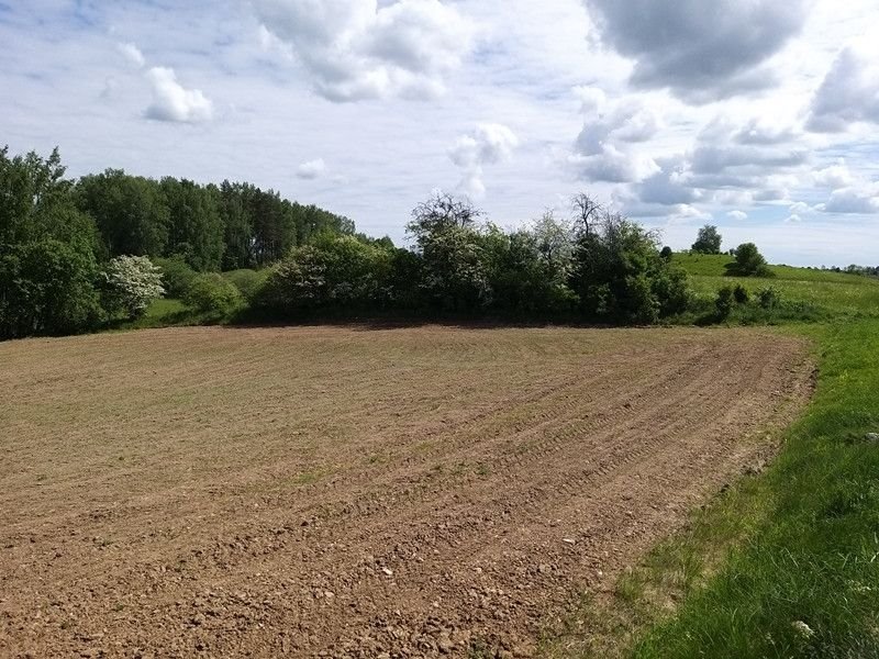 Działka rolna na sprzedaż Nowosady  19 000m2 Foto 5