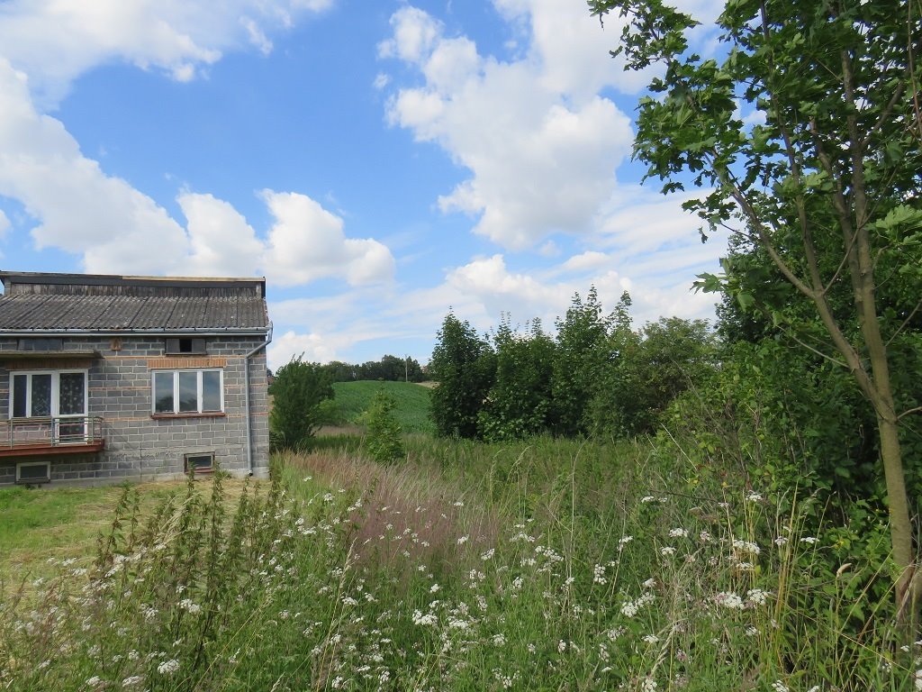 Działka budowlana na sprzedaż Proszowice  1 566m2 Foto 1