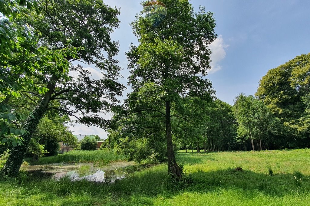 Działka budowlana na sprzedaż Piotrowice Małe  11 131m2 Foto 15