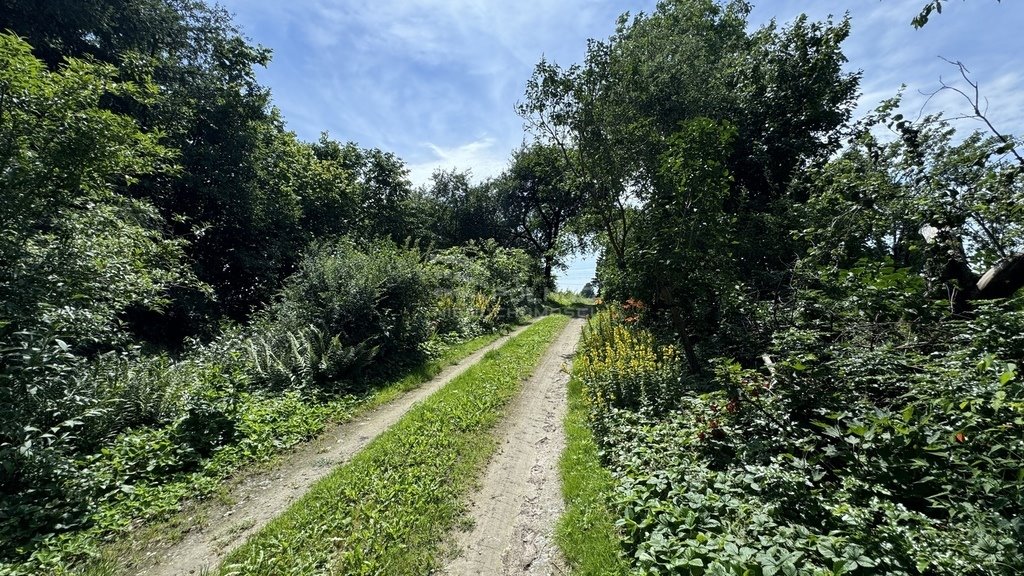 Działka budowlana na sprzedaż Konopnica  5 600m2 Foto 4