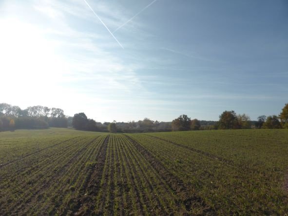 Działka budowlana na sprzedaż Dobra (Szczecińska), BUK  800m2 Foto 4