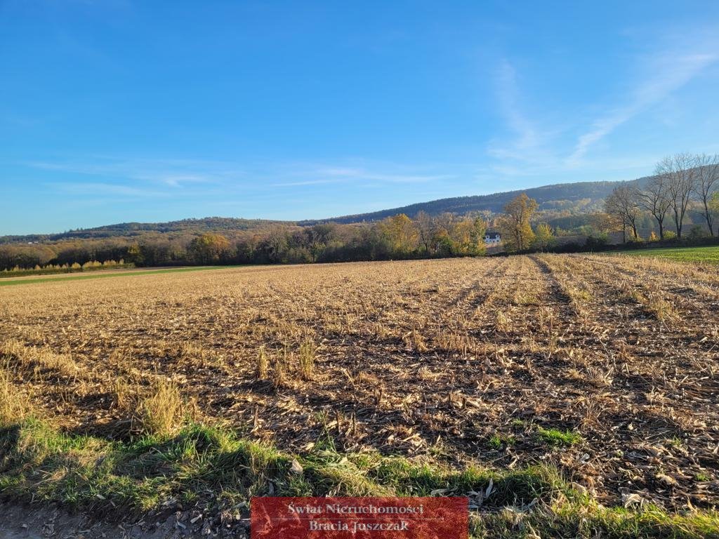 Działka rolna na sprzedaż Będkowice  11 300m2 Foto 2