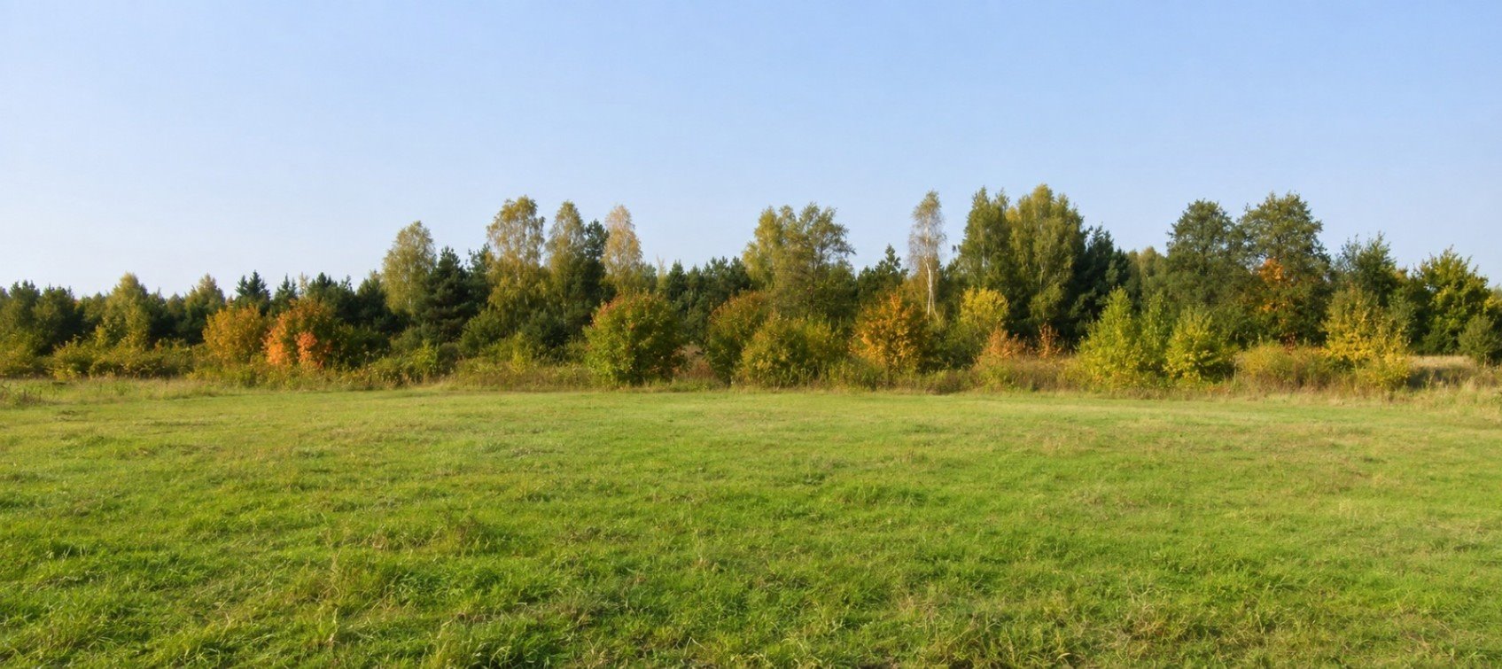 Na sprzedaż działka 3931 m² pod zabudowę jednorodzinną Wólka Radzymińska, Szkolna  3 931m2 Foto 1