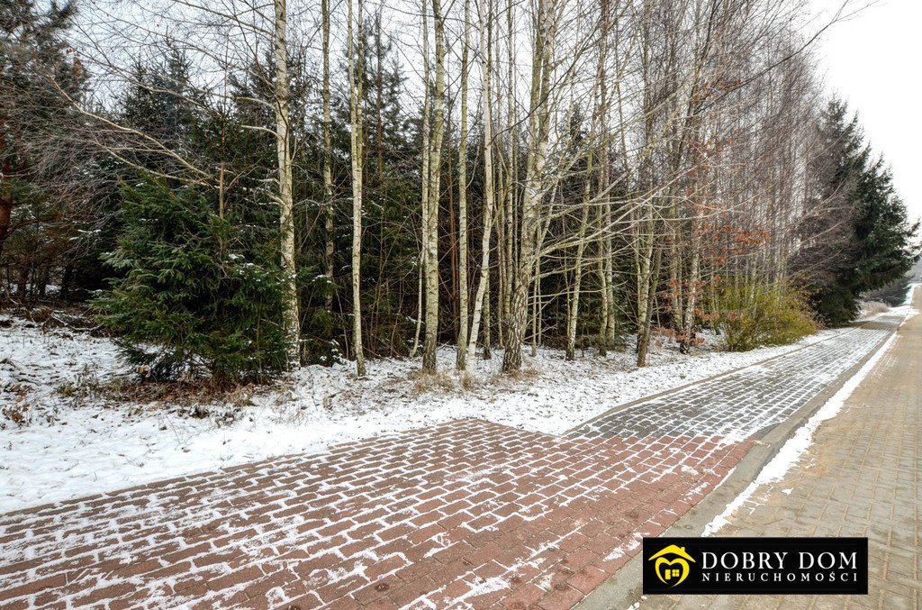 Działka 3110 m2 w cichej, zielonej okolicy z mediami Czarna Wieś Kościelna  3 110m2 Foto 1