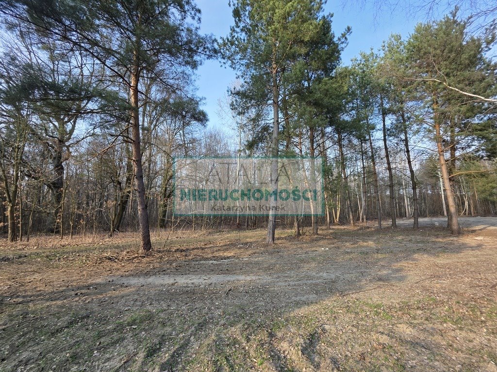 Działka 3600m² z warunkami zabudowy i prądem - zapraszam Mościska  3 549m2 Foto 1
