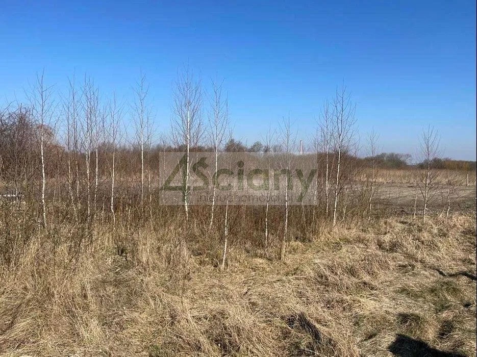 Działka budowlana na sprzedaż Brwinów  1 365m2 Foto 1