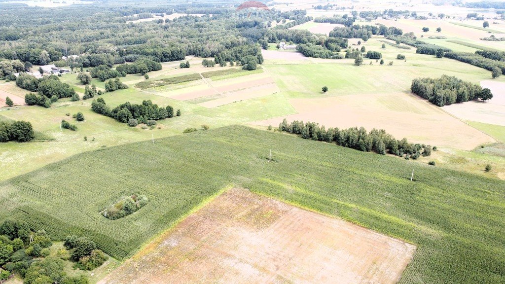 Działka budowlana na sprzedaż Ostrownica  4 500m2 Foto 6