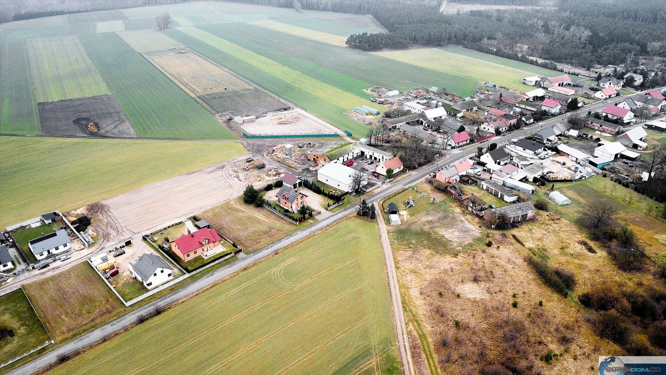 Działka budowlana na sprzedaż Sierniki  1 000m2 Foto 9