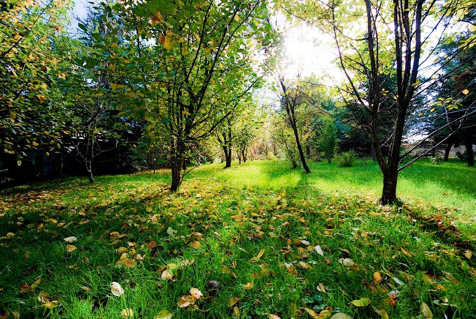 Dom na sprzedaż Stary Śleszów, Racławicka  200m2 Foto 4