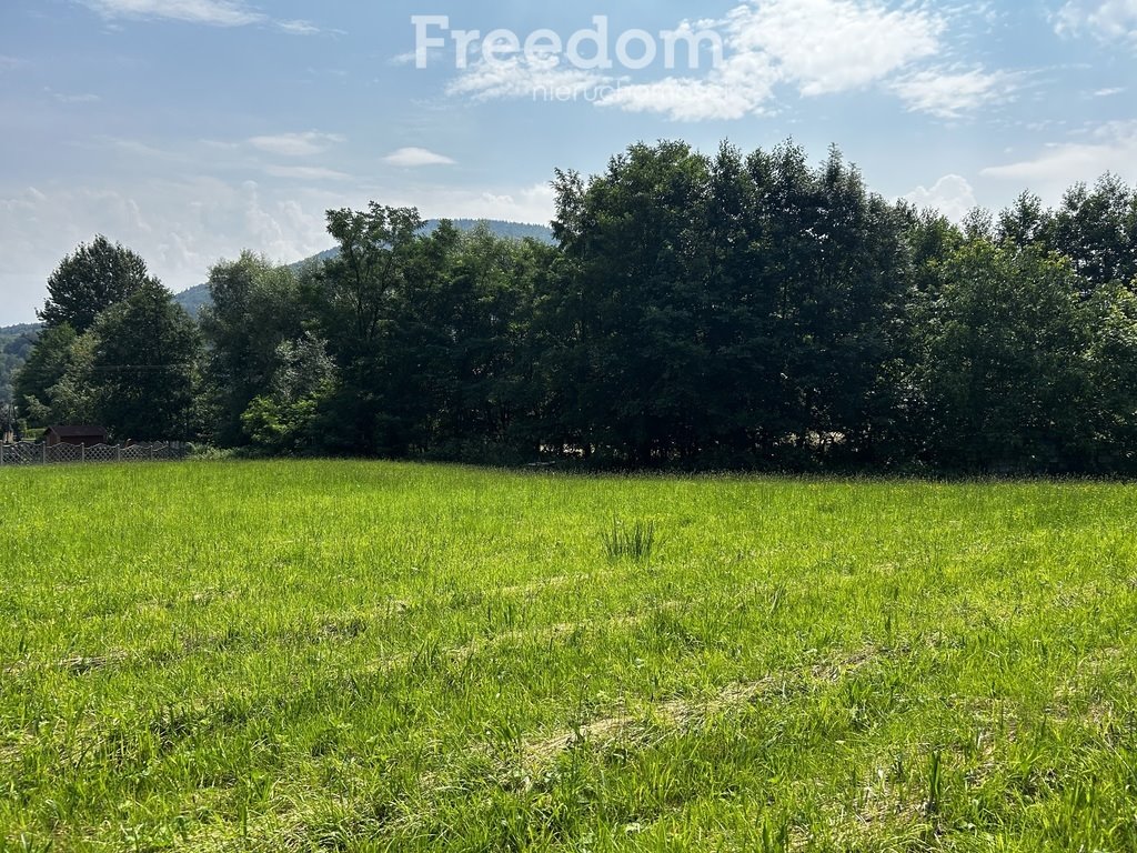 Działka budowlana na sprzedaż Targanice, Olchowa  1 300m2 Foto 4