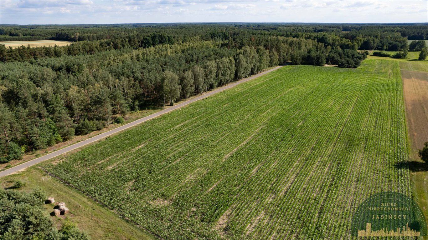 Działka inna na sprzedaż Czarnocin, Czarnocin  20 385m2 Foto 6