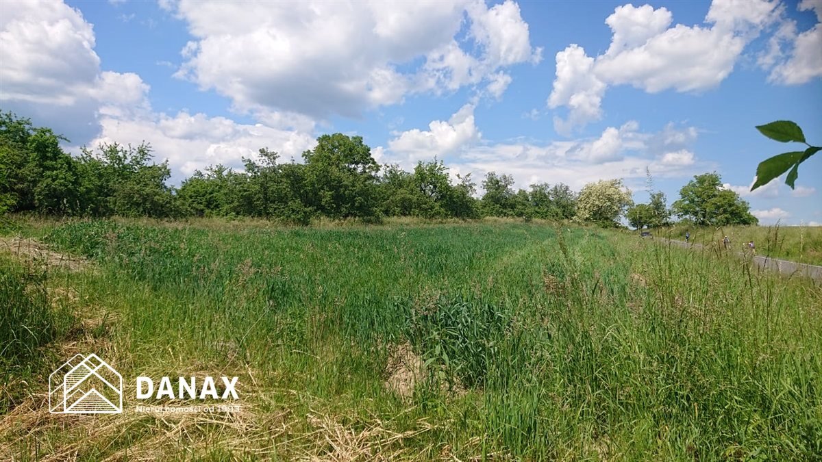 Działka inna na sprzedaż Czułówek  2 300m2 Foto 17