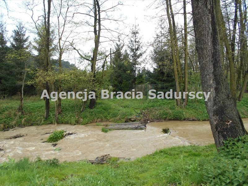 Działka rolna na sprzedaż Januszowice 2 800m2 Foto 1 Działka rolna na sprzedaż Januszowice 2 800m2 Foto 1