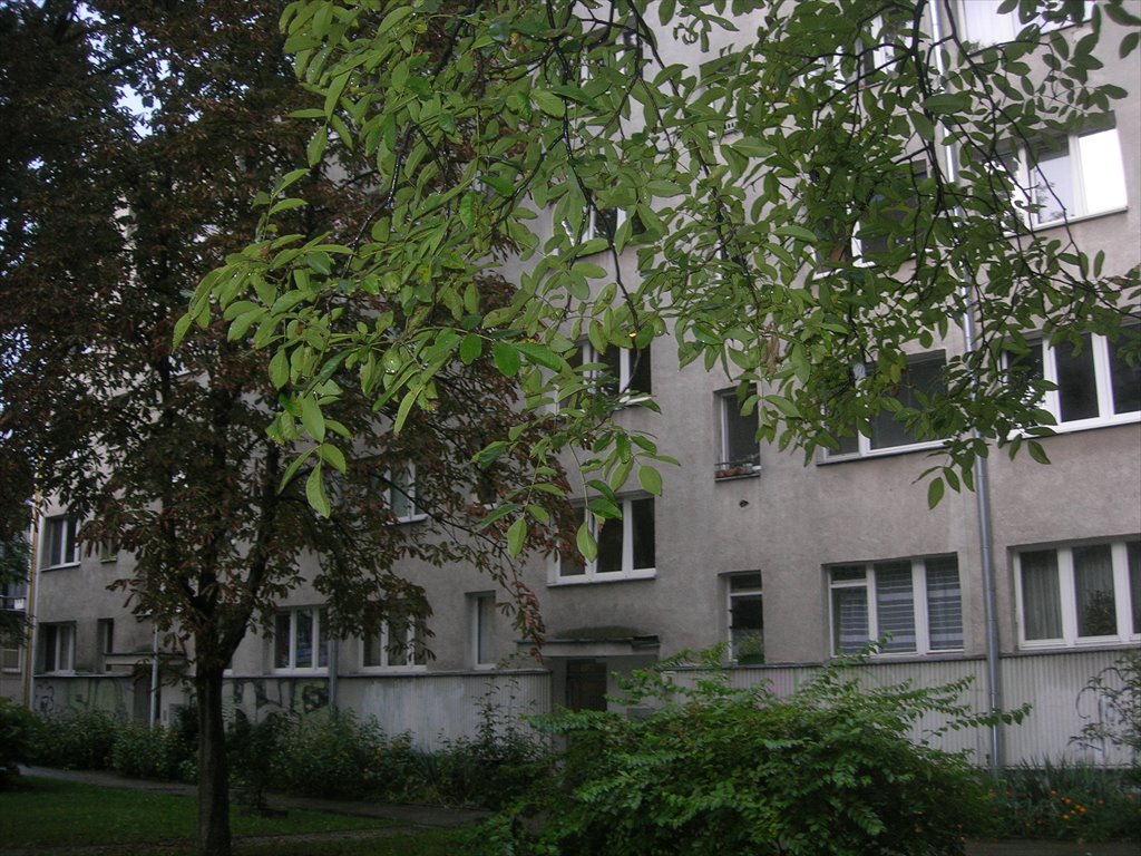 Mieszkanie dwupokojowe na sprzedaż Wrocław, Śródmieście, Plac Grunwaldzki, Matejki  47m2 Foto 2