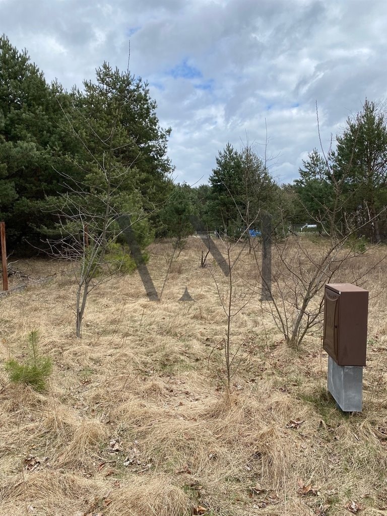 Działka budowlana na sprzedaż Poddębie  1 600m2 Foto 2