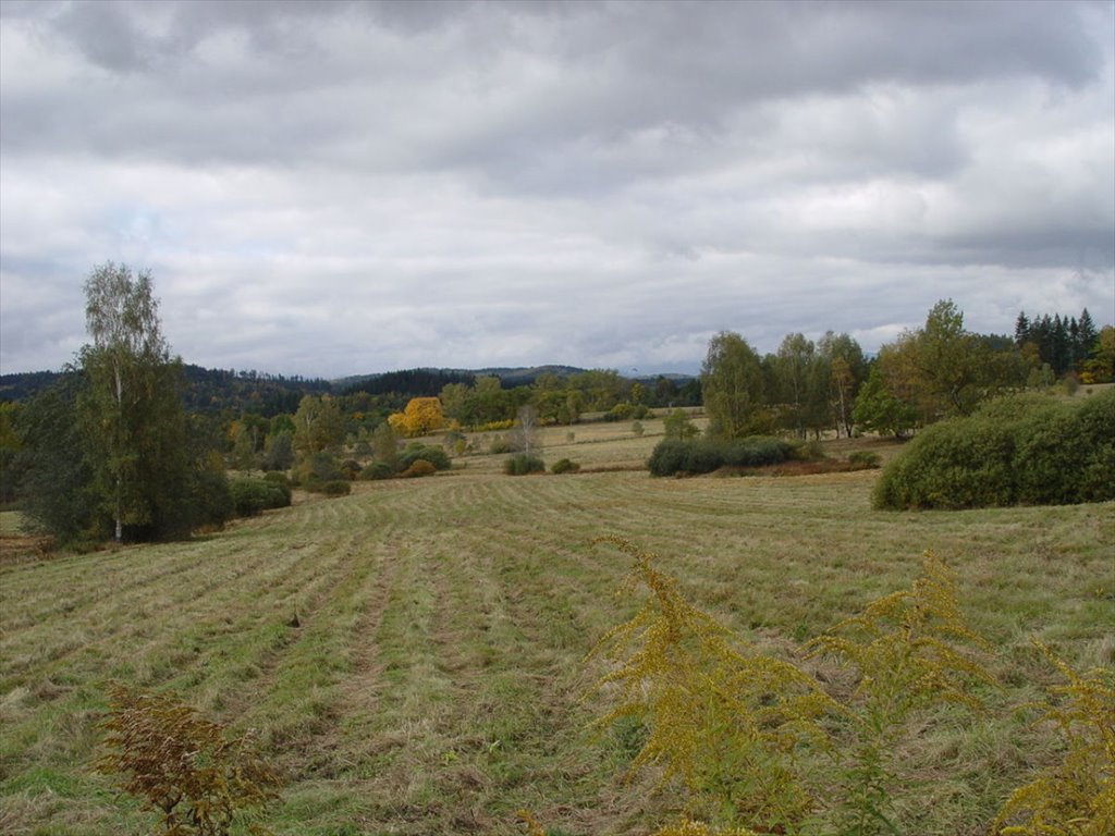 Działka rolna na sprzedaż Chrośnica  81 966m2 Foto 7