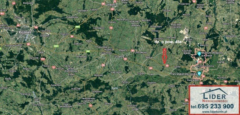 Działka inwestycyjna przy DK 92 w Wilcznej, 45a Wilczna  4 500m2 Foto 1