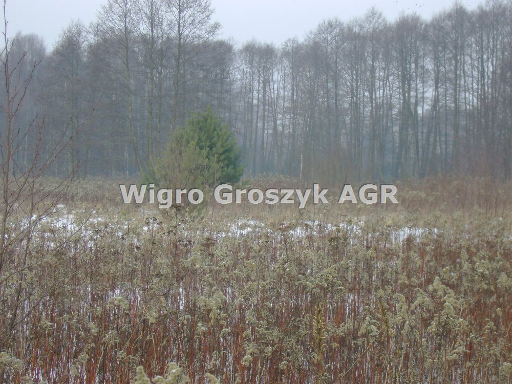 Sprzedam działkę 1363 m² w Izabelin-Dziekanówek z planem zabudowy Izabelin-Dziekanówek  1 363m2 Foto 1