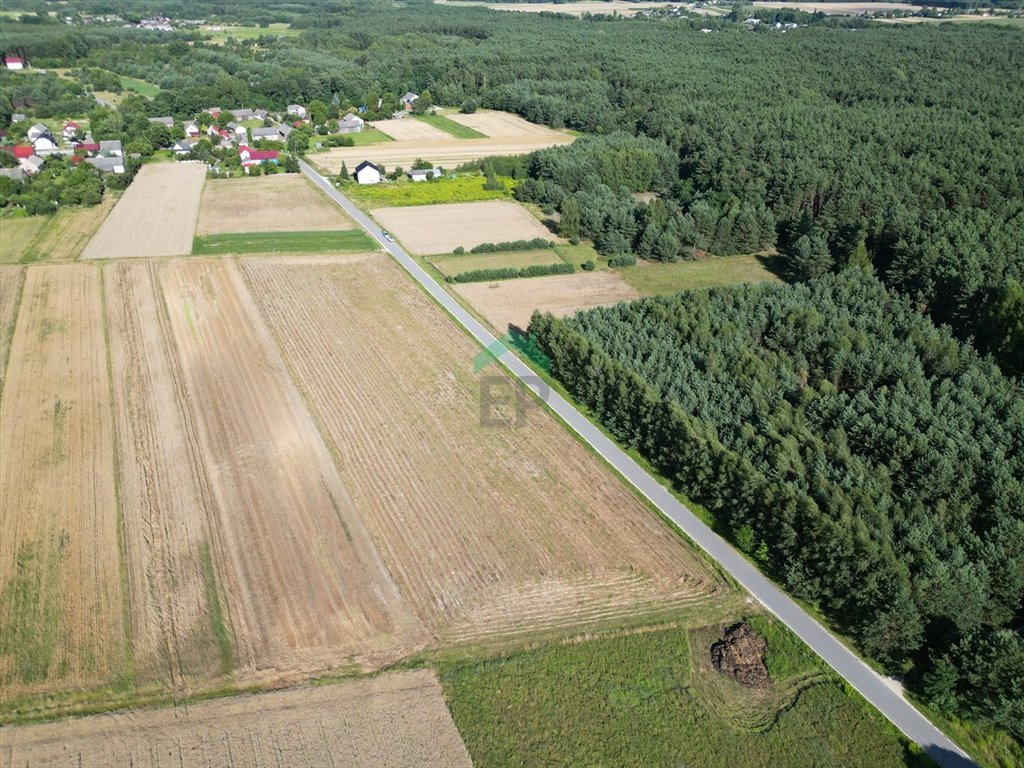 Działka budowlana na sprzedaż Dąbrówka  1 569m2 Foto 5