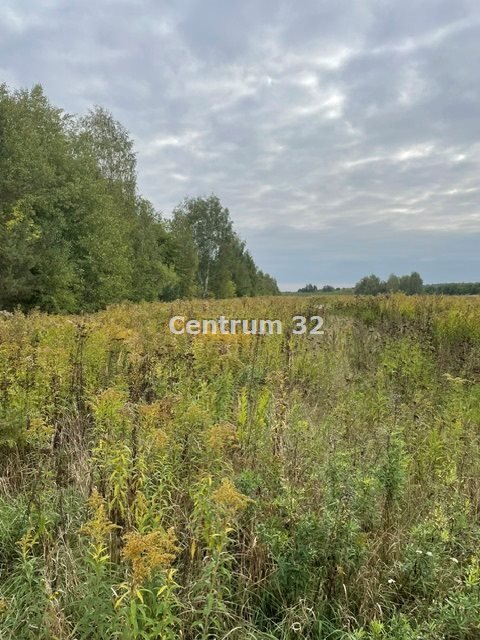 Zapraszam do zakupu działki 6495 m² pod usługi w Woli Pękoszewskiej Wola Pękoszewska  6 495m2 Foto 1