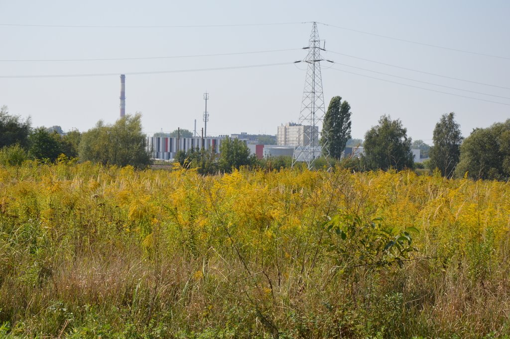 Działka 7 132 m² pod zabudowę i przemysł w Lublinie Lublin, Hajdów-Zadębie  7 132m2 Foto 1